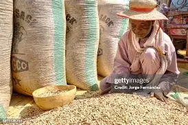 NIgeria Beans