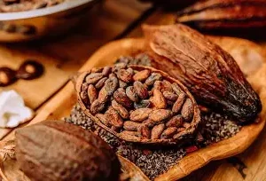 Ethiopan cocoa beans