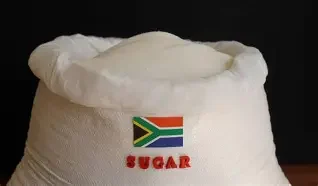 Premium South African Sugar