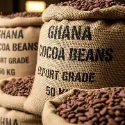 PREMIUM GHANA COCOA BEANS