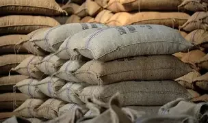 Premium Ghana Cocoa Beans