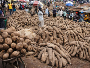 Yams