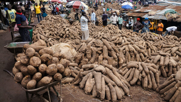 Yams