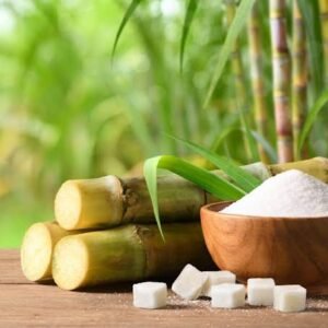 Sugar cane
