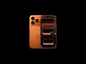 17 Pro Max