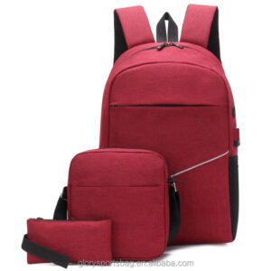 BSCI Factory Unisex School Students Backpack Set Waterproof School Computer Bag with Polyester Lining Zipper Closure