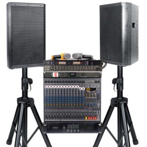 Factory Price Professional Speakers Audio Sound Equipment Neodymium Sonido Profesional Active Subwoofer Bass Passive Speaker
