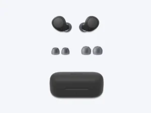 Sony WF-C510 Truly Wireless Earbuds
