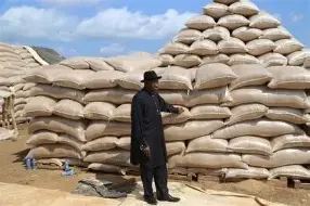 Premium Nigerian Groundnuts (Peanuts)