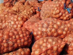 Potato Onion Packages Sack Pe Raschel Mesh Bag 60x100