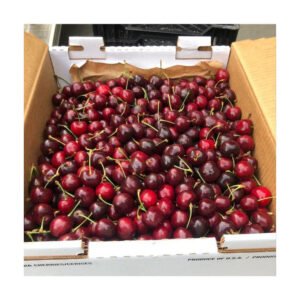 Organic Fresh Cherry Fruit / Red Sweet Cherry High Quality Delicious 100% Natural Best Grade 25kg
