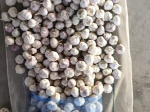 Garlic Wholesale Alho Supplier Fresh Garlic Exporter