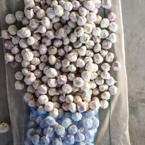 Garlic Wholesale Alho Supplier Fresh Garlic Exporter