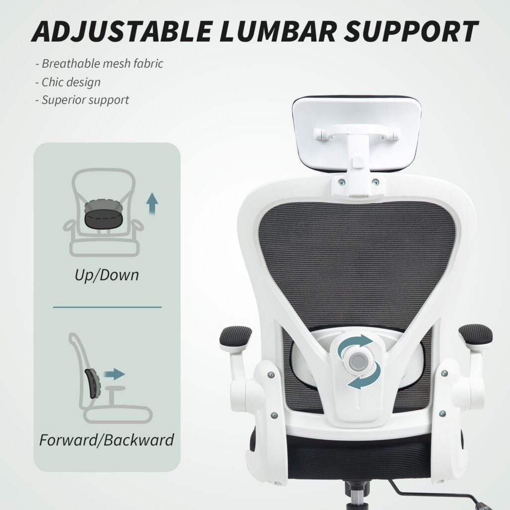 Ergonomic Office Chair Flip-up Armrest Rotatable Headrest Adjustable Lumbar Support-BIFMA Certified Nylon PU Black Desk Chair