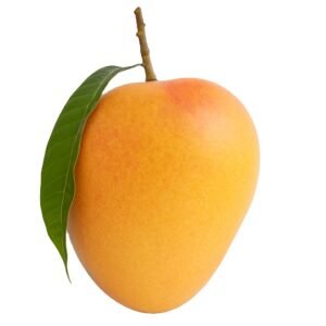 Fresh Premium  Mango (Hapus Maharashtra India) Tropical Sub-Tropical Fruit Yellow Skin Ready 30-45 Days Shelf Life